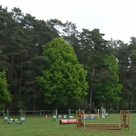 Aktivstall