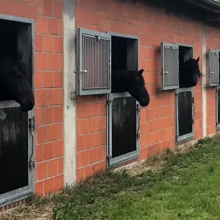 Lejlighed Aktivstall Soltau