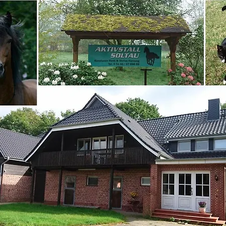 Lejlighed Aktivstall *