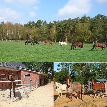 Lejlighed Aktivstall