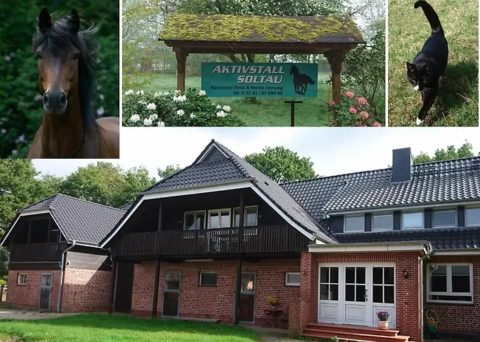 Lejlighed Aktivstall *