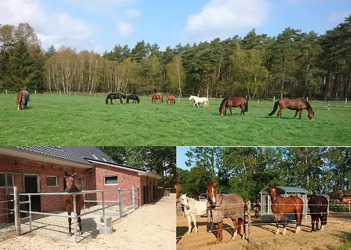 Lejlighed Aktivstall